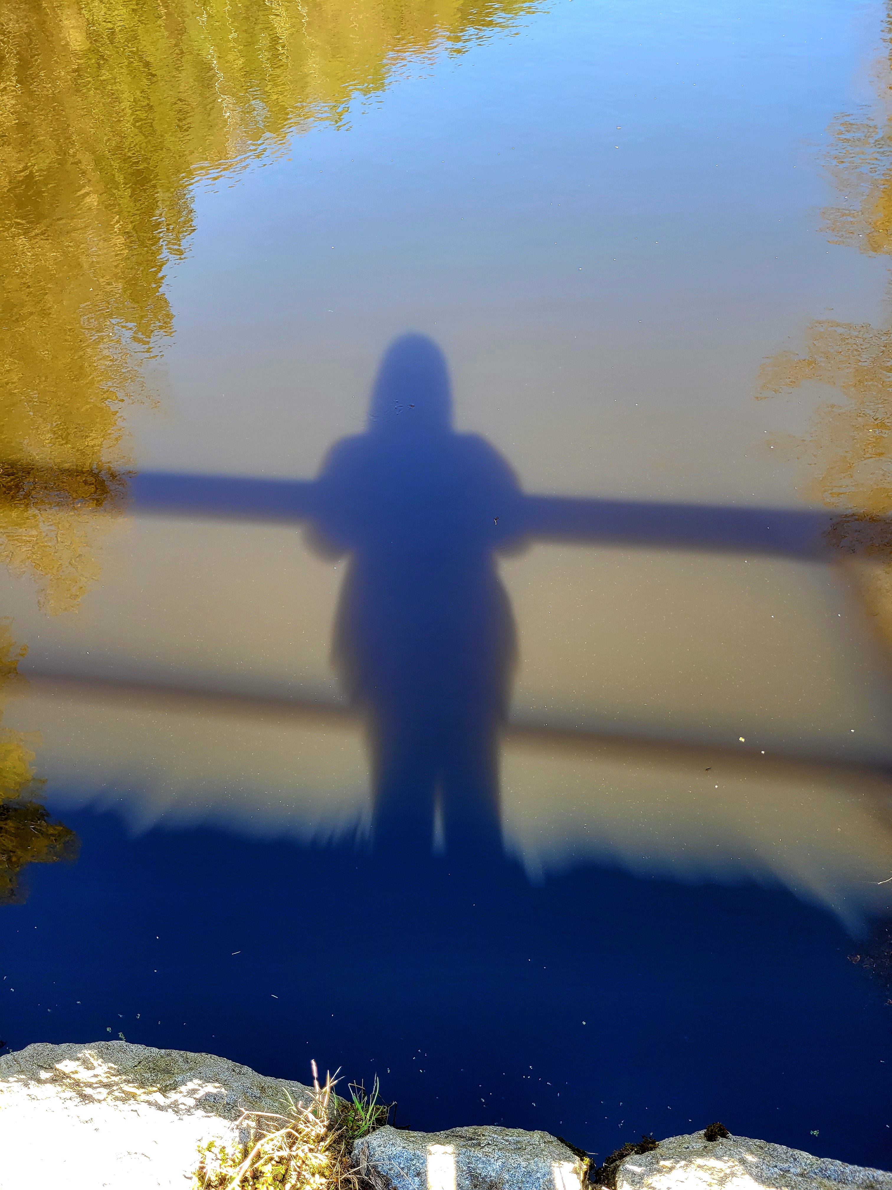 21. 24. 4. 2026 Erasmus v Jičíne Bartošová 1