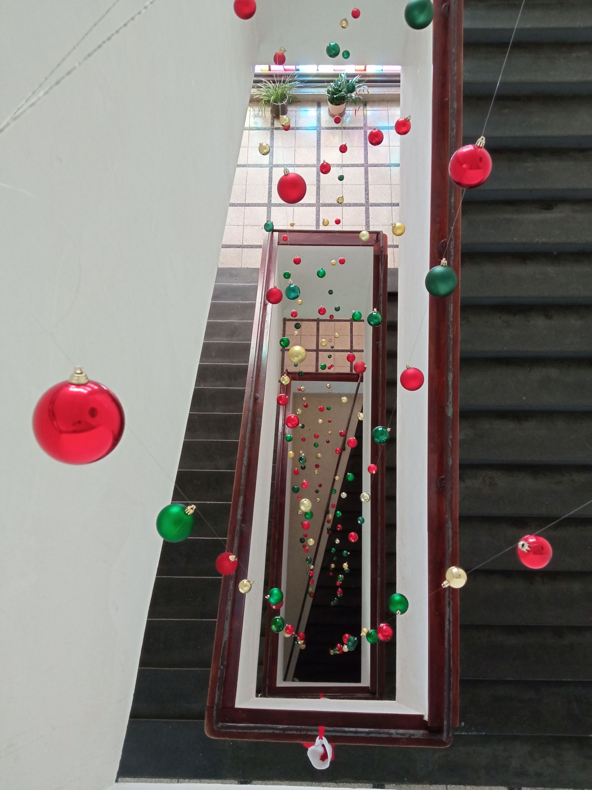 IMG 20231208 114738zmenšiť